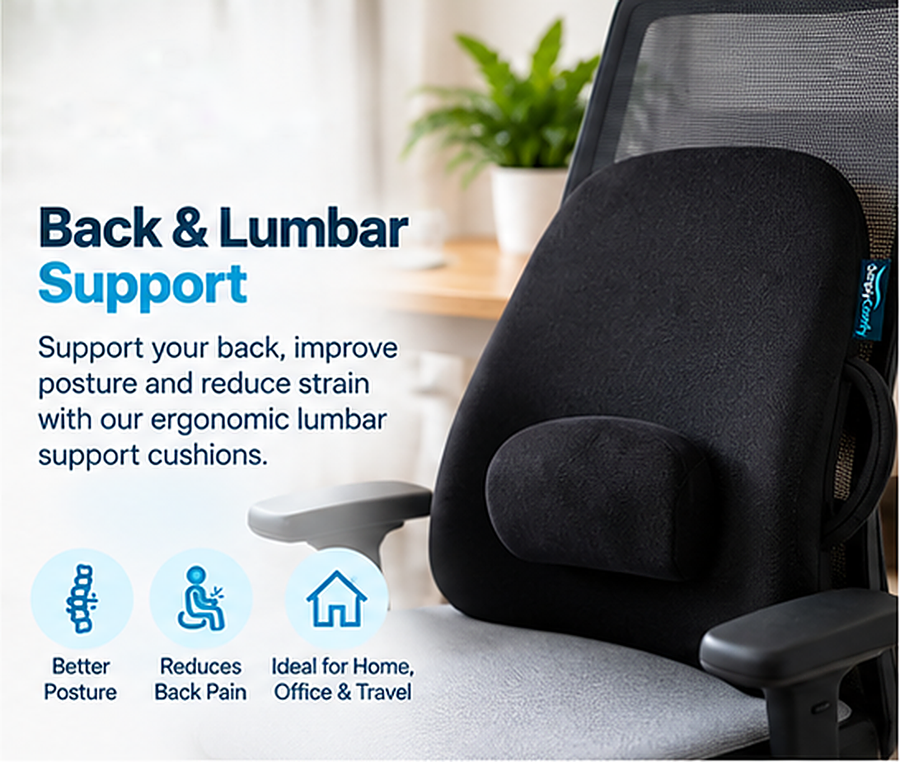 Back and Lumbar Support